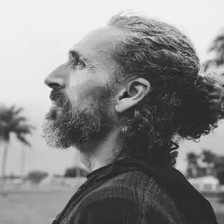 Tal Cohen