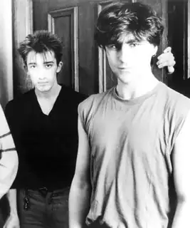 The Chameleons
