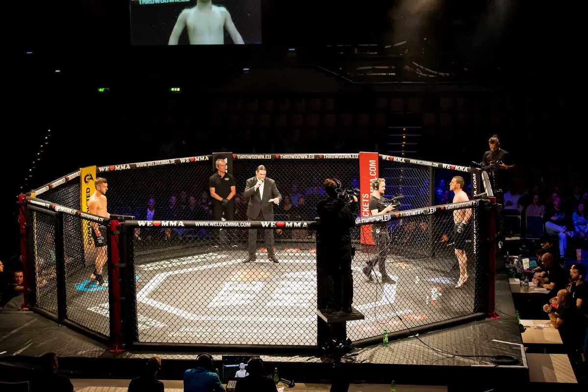 We Love MMA