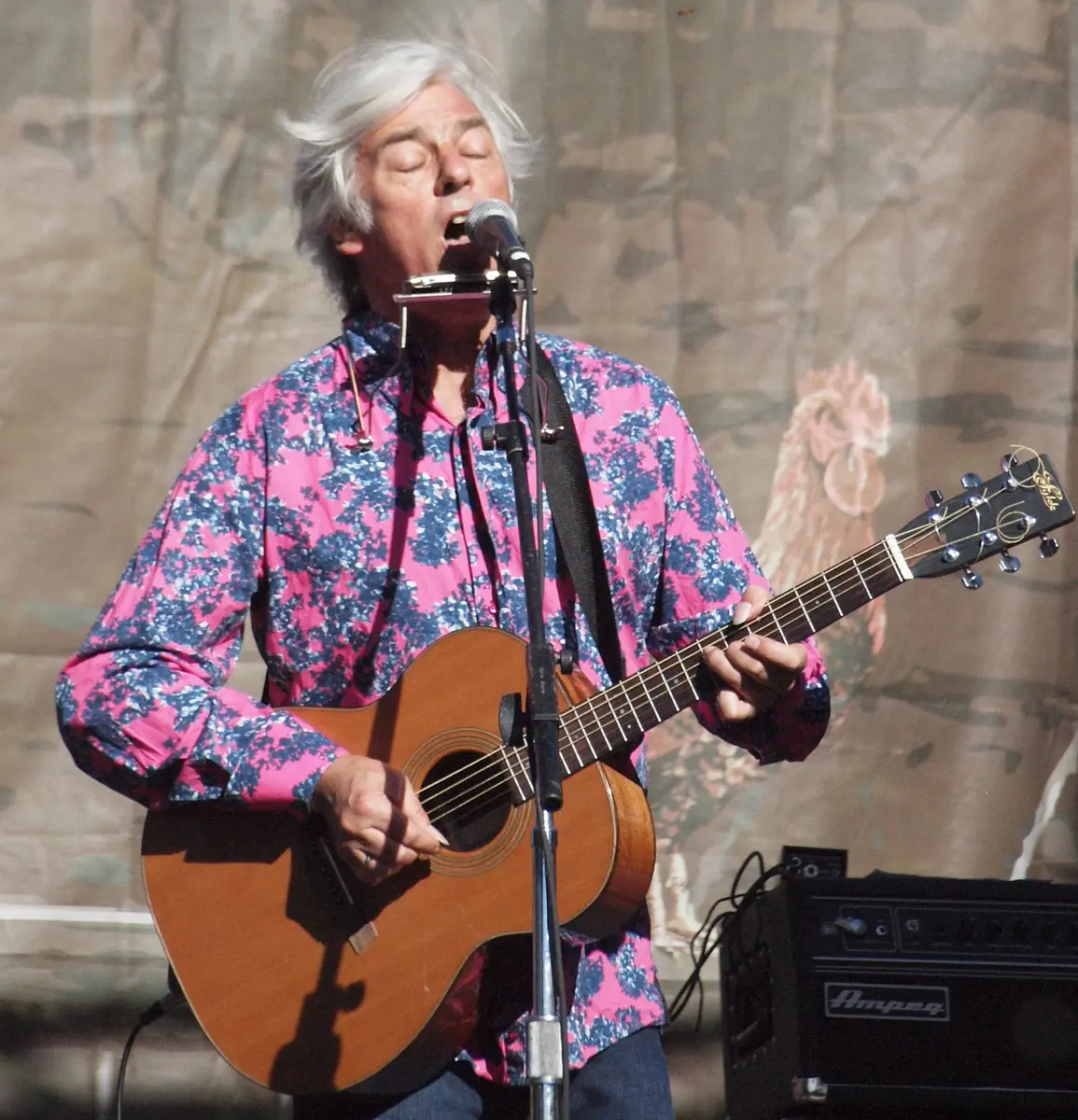 Robyn Hitchcock — Privatclub, Berlin