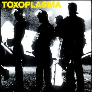 Here are the Punks / Schleimkeim, Toxoplasma, Pöbel & Gesocks, Oi!sturm Asozial
