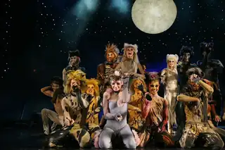 Musical Dinner Show - Best of Musicals - 3 Gänge Menu