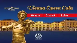 Vídeňský koncert - VIENNA OPERA GALA