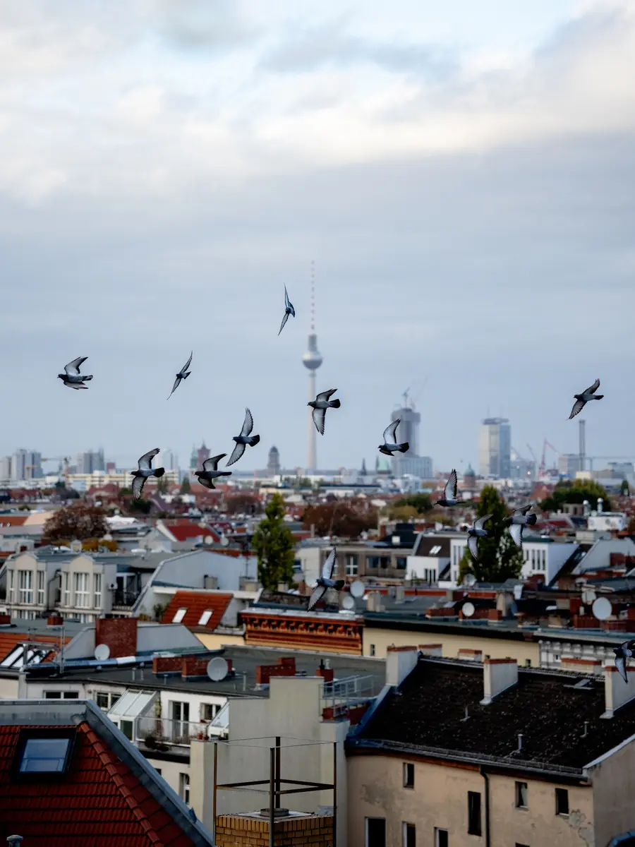 WOCHENMITTE w. Krokant — Klunkerkranich, Berlin