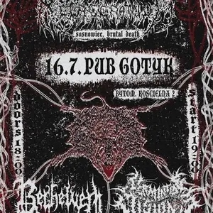 Berhelven — Pub ,,Gotyk", Krakov