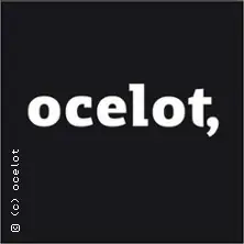 Překládat Česko - rozhovor a čtení — ocelot, not just another bookshop, Berlín