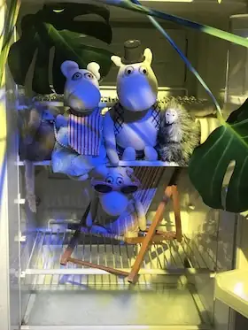 Summer for Kids: A Jungle in Moomin Valley