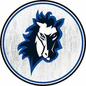Erding Gladiators - Wipptal Broncos — Stadtwerke Erding Arena, Erding