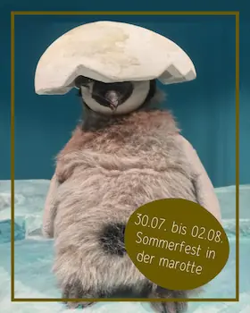 Sommerfest 2026 - Pit Pinguin (ab 3 Jahren) — marotte Theater, Karlsruhe