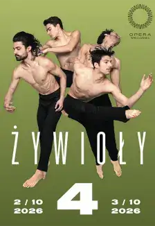 Стихии IV