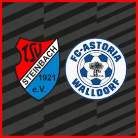 TSV Steinbach Haiger - FC-Astoria Walldorf — SIBRE-Sportzentrum Haarwasen Haiger, Haiger