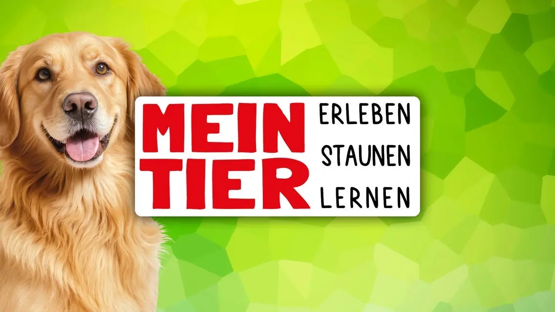 Mein Tier — Weser-Ems-Hallen, Oldenburg