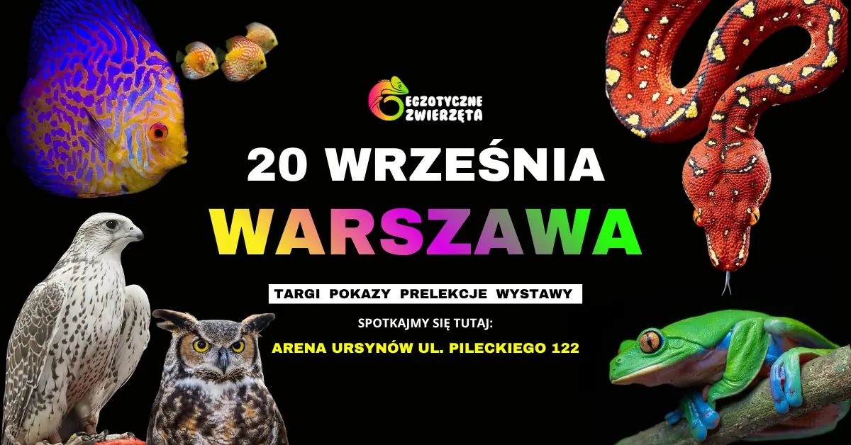 WARSCHAU 20. SEPTEMBER - EXOTISCHE TIERE - TERRARISTIK AQUARISTIK BOTANIK und vieles mehr — Arena Ursynów, Warschau
