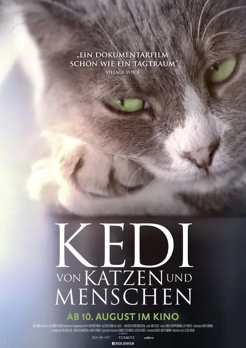 Kedi - Von Katzen und Menschen — URANIA CEENEMA, Wien