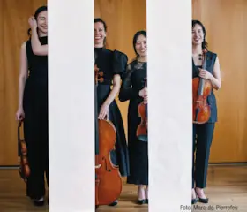 Quatuor Ardeo — Schloss Schwetzingen, Schwetzingen