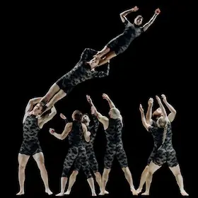 North of Now - European Premiere — fabrik Potsdam, Potsdam