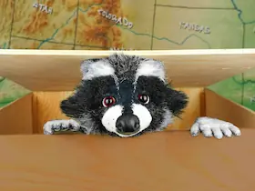 Rocky Waschbär - Der Apfelkuchendieb (ab 4 Jahren) — marotte Theater, Karlsruhe