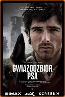Souhvězdí psa