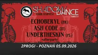 Shadow Dance Party