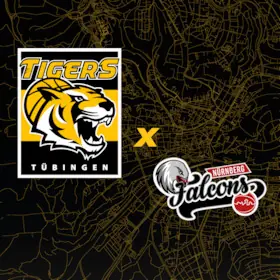 Tigers Tübingen - Nürnberg Falcons — Paul-Horn-Arena, Tübingen