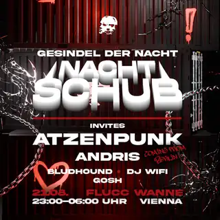 NACHTSCHUB with ATZENPUNK