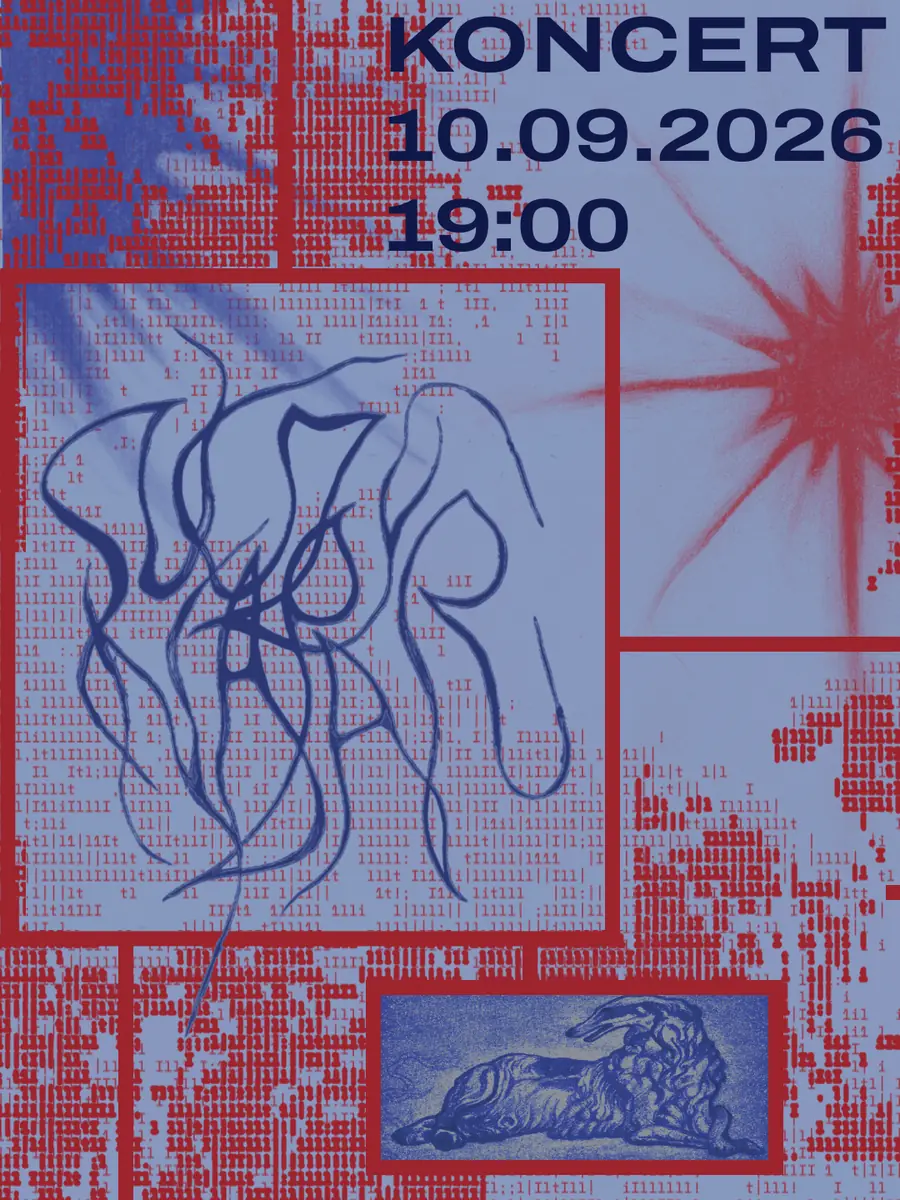 Suczy Napar Concert — Centrum Sztuki Współczesnej „Znaki Czasu”, Toruń