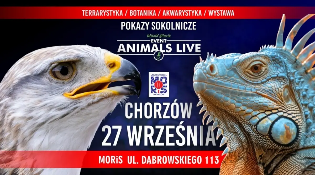 Animals Live CHORZÓW 27. September 2026 - Terraristik & Falknerei & Aquaristik & Botanik — Hala Sportowa MOSiR Chorzów, Chorzów