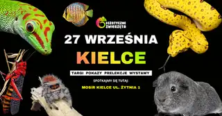 КЕЛЬЦЕ 27 СЕНТЯБРЯ - ЭКЗОТИЧЕСКИЕ ЖИВОТНЫЕ - ТЕРРАРИУМИСТИКА АКВАРИУМИСТИКА И МНОГОЕ ДРУГОЕ