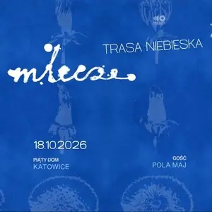 Mlecze — Piąty Dom, Katowice