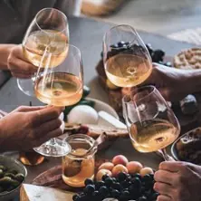 Wine Tasting - Weinhandlung GEIER vino vino — Weinhandlung GEIER vino vino, Leipzig