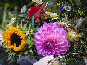 Flower-Loops - Indian Summer — erlebe wigner!, Zirndorf