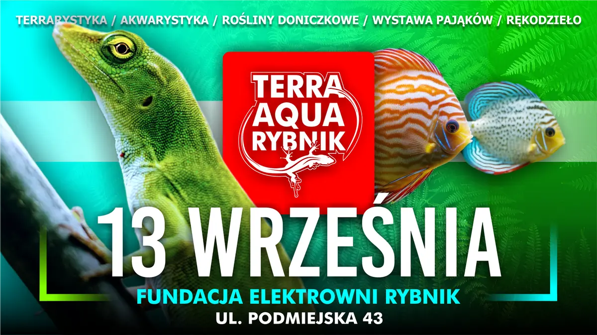 Terra Aqua Rybnik 13.09.26 / Akvaristické trhy / Výstava pavouků / Pokojové rostliny — Fundacja Elektrowni Rybnik, Rybnik