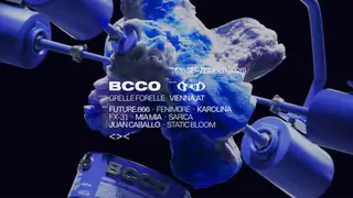 YN x BCCO