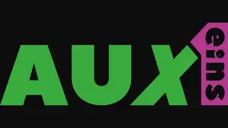 AUXeins - Майстер-класи, лекції та семінари для студентів і учнів