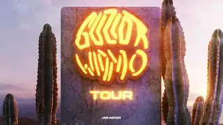 Guzior: WIDMO TOUR