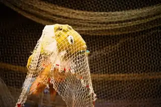 The Fisherman and the Golden Fish