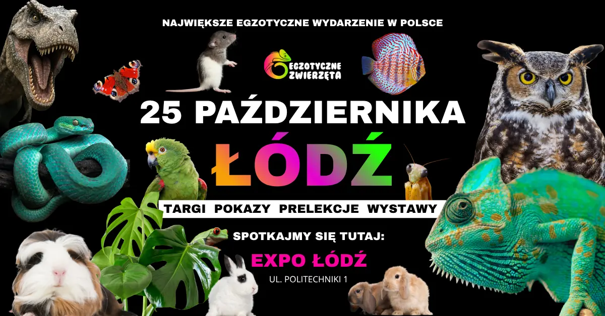 ЛОДЗЬ 25 ЖОВТНЯ - ЕКЗОТИЧНІ ТВАРИНИ — Hala Expo-Łódź, Лодзь