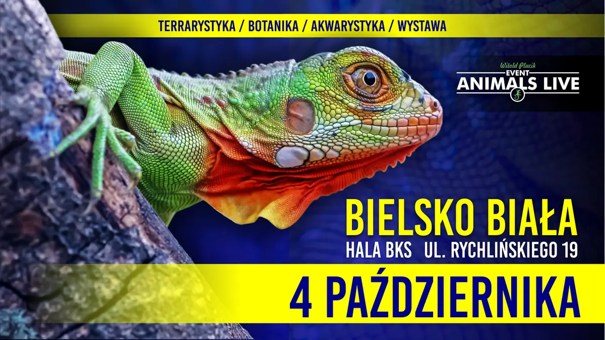 Animals Live BIELSKO-BIAŁA 4. Oktober 2026 Terraristik & Aquaristik & Botanik & Ausstellungen — Hala BKS Stal Bielsko-Biała, Bielsko-Biała
