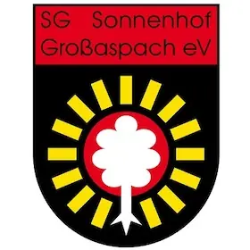 1. FC Saarbrücken - SG Sonnenhof Großaspach — Ludwigsparkstadion, Саарбрюкен