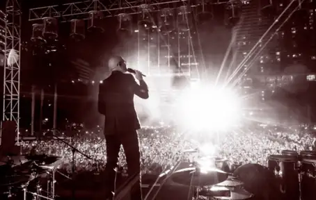 Pitbull