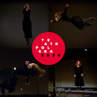 NIŻYŃSKA piano forte - Teatr Polska
