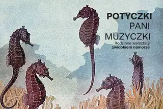 POTYCZKI PANI MUZYCZKI – rodzinne warsztaty z widokiem na morze