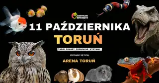 ТОРУНЬ 11 ЖОВТНЯ - ЕКЗОТИЧНІ ТВАРИНИ - ТЕРРАРИУМІСТИКА АКВАРІУМІСТИКА та багато іншого
