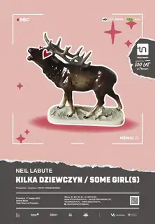NĚKOLIK DÍVEK / SOME GIRL(S)