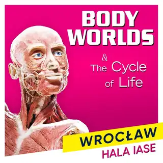 Výstava Body Worlds "The Cycle of Life"