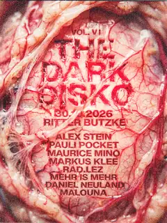 The Dark Disko