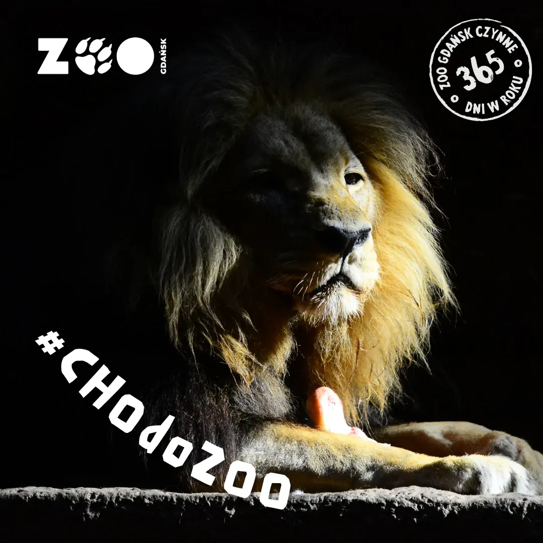 Besuch des Zoos Gdańsk — Gdańsker Zoo, Danzig