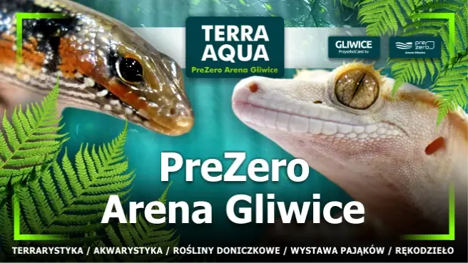 Terra Aqua Gliwice — PreZero Arena Gliwice, Гливице