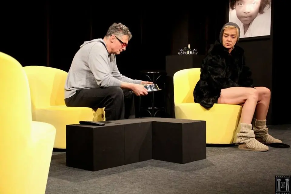 Agnes and Daniel Besse "Psiunio" — Teatr Bez Sceny w Katowicach, Katowice