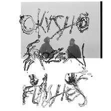 Okvsho +experience - Live 2026